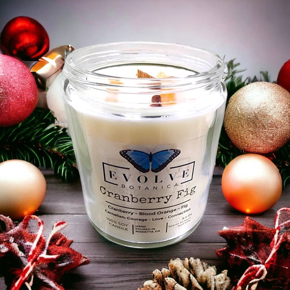 Classic 9oz Jam Jar Crystal Soy Candle - Cranberry Fig (Carnelian) from Evolve Botanica