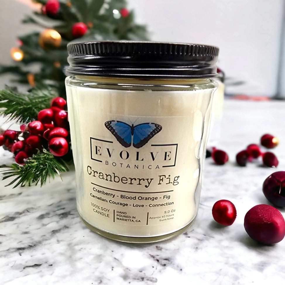 Classic 9oz Jam Jar Crystal Soy Candle - Cranberry Fig (Carnelian) from Evolve Botanica