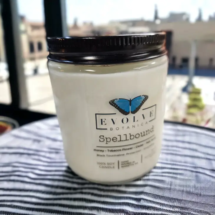 Classic 9oz Jam Jar Crystal Soy Candle - Spellbound (Black Tourmaline) from Evolve Botanica