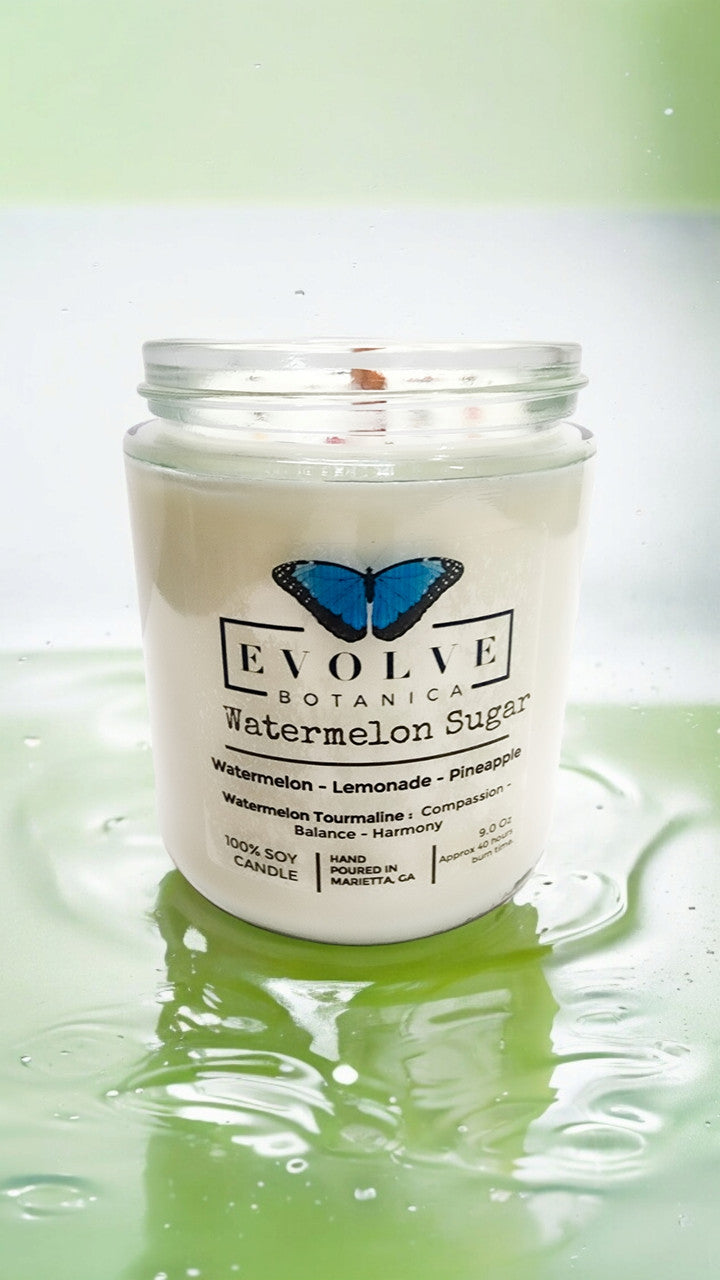 Classic 9oz Jam Jar Crystal Soy Candle - Watermelon Sugar (Watermelon Tourmaline) from Evolve Botanica