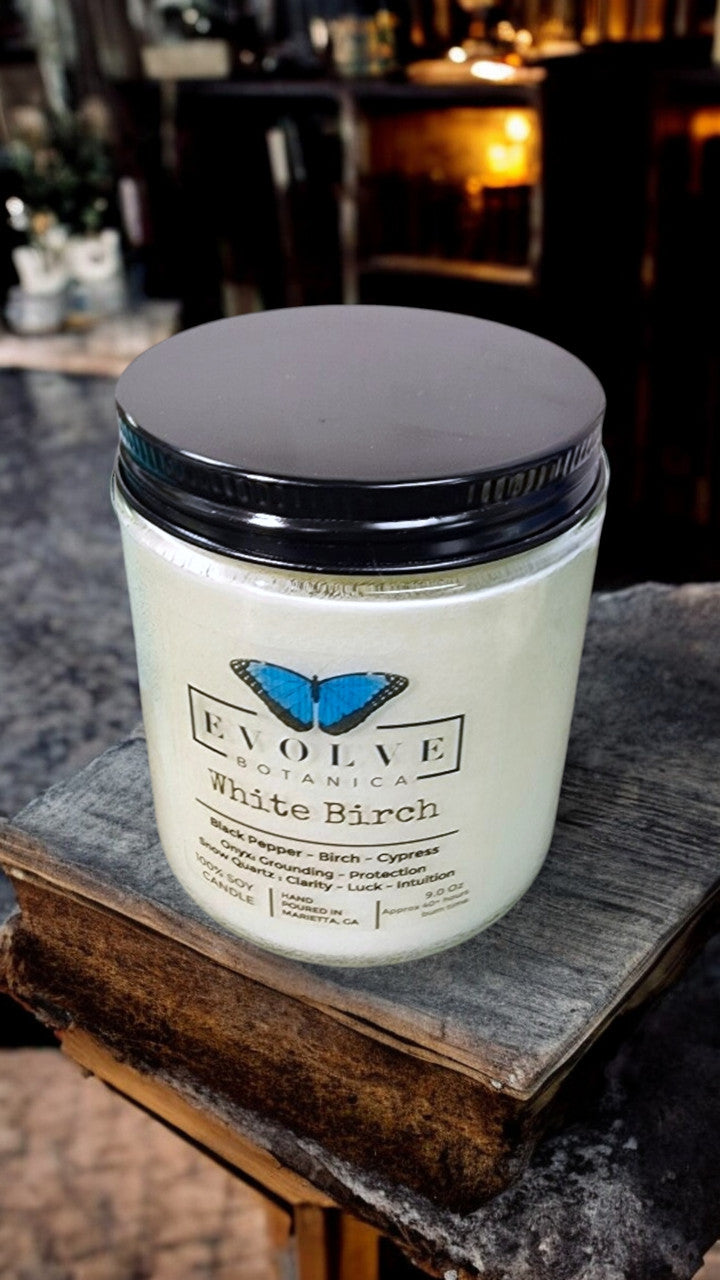Classic 9oz Jam Jar Crystal Soy Candle - White Birch (Snow Quartz & Onyx) from Evolve Botanica