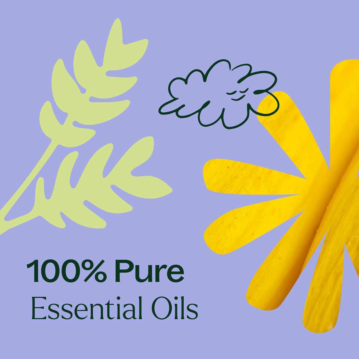 Worry Free™ Essential Oil Blend Pre-Diluted Roll-On from Plant Therapy