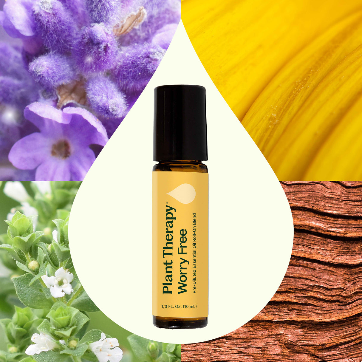 Worry Free™ Essential Oil Blend Pre-Diluted Roll-On from Plant Therapy