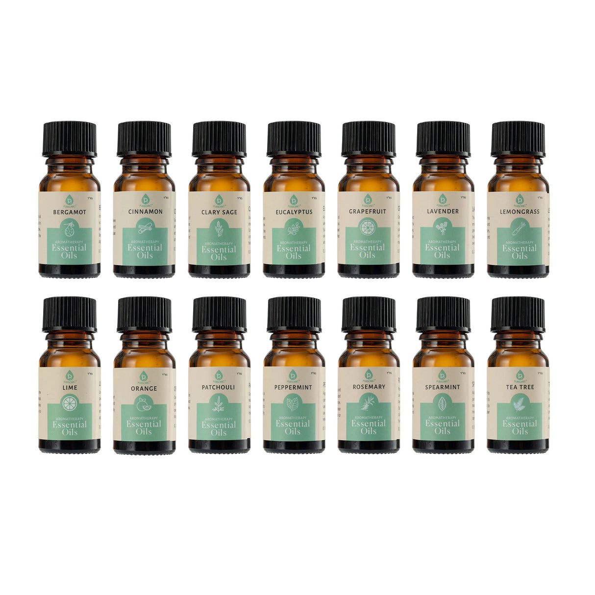 Seasonal Scents Christmas Essential Oils Collection from Pursonic