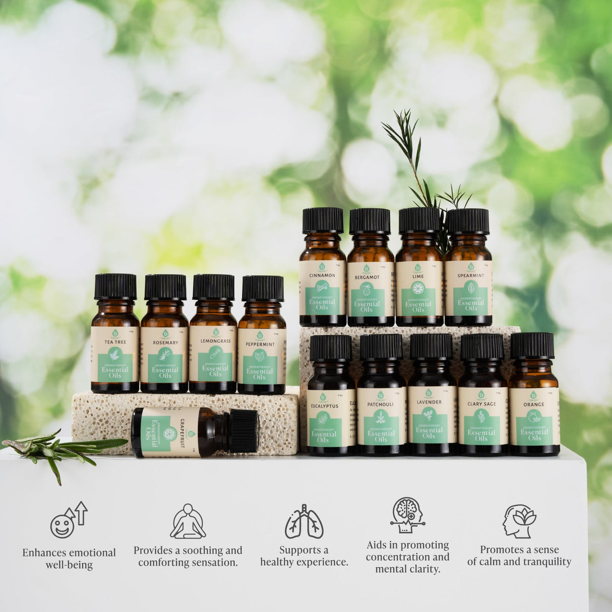 Seasonal Scents Christmas Essential Oils Collection from Pursonic
