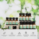 Seasonal Scents Christmas Essential Oils Collection from Pursonic