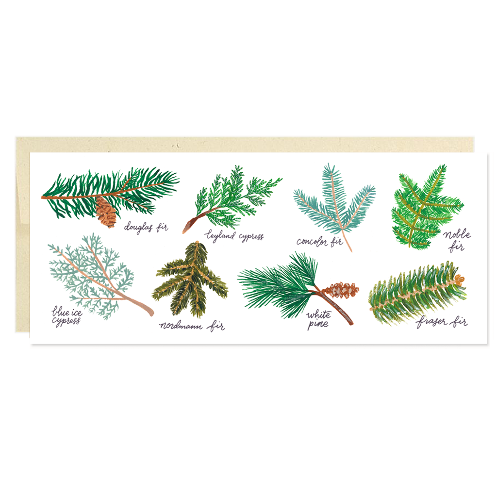Christmas Tree Varieties from Forage Paper Co.