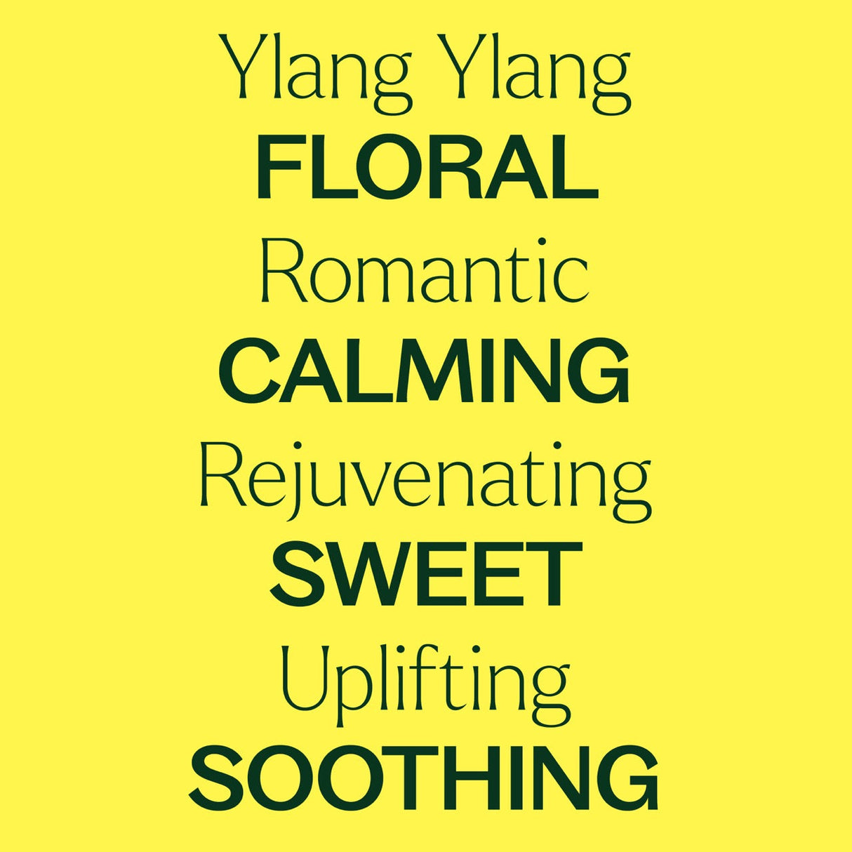 Ylang Ylang Complete Essential Oil from Plant Therapy