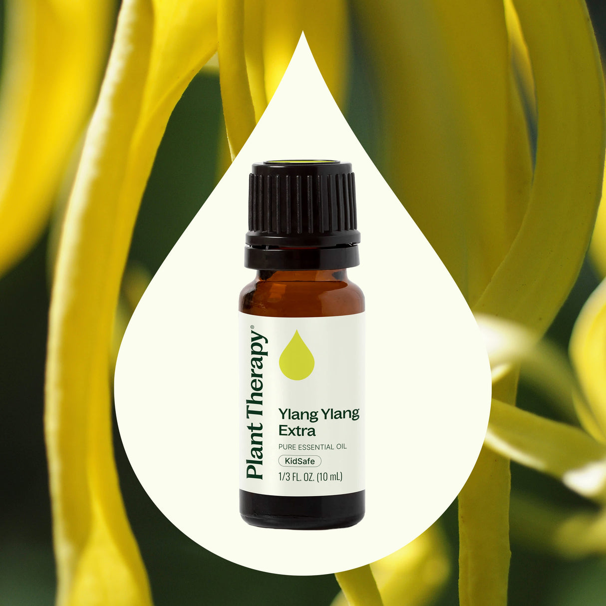 Ylang Ylang Extra Essential Oil from Plant Therapy