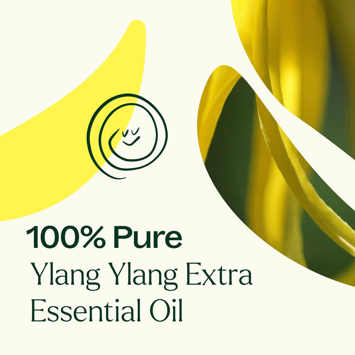 Ylang Ylang Extra Essential Oil from Plant Therapy