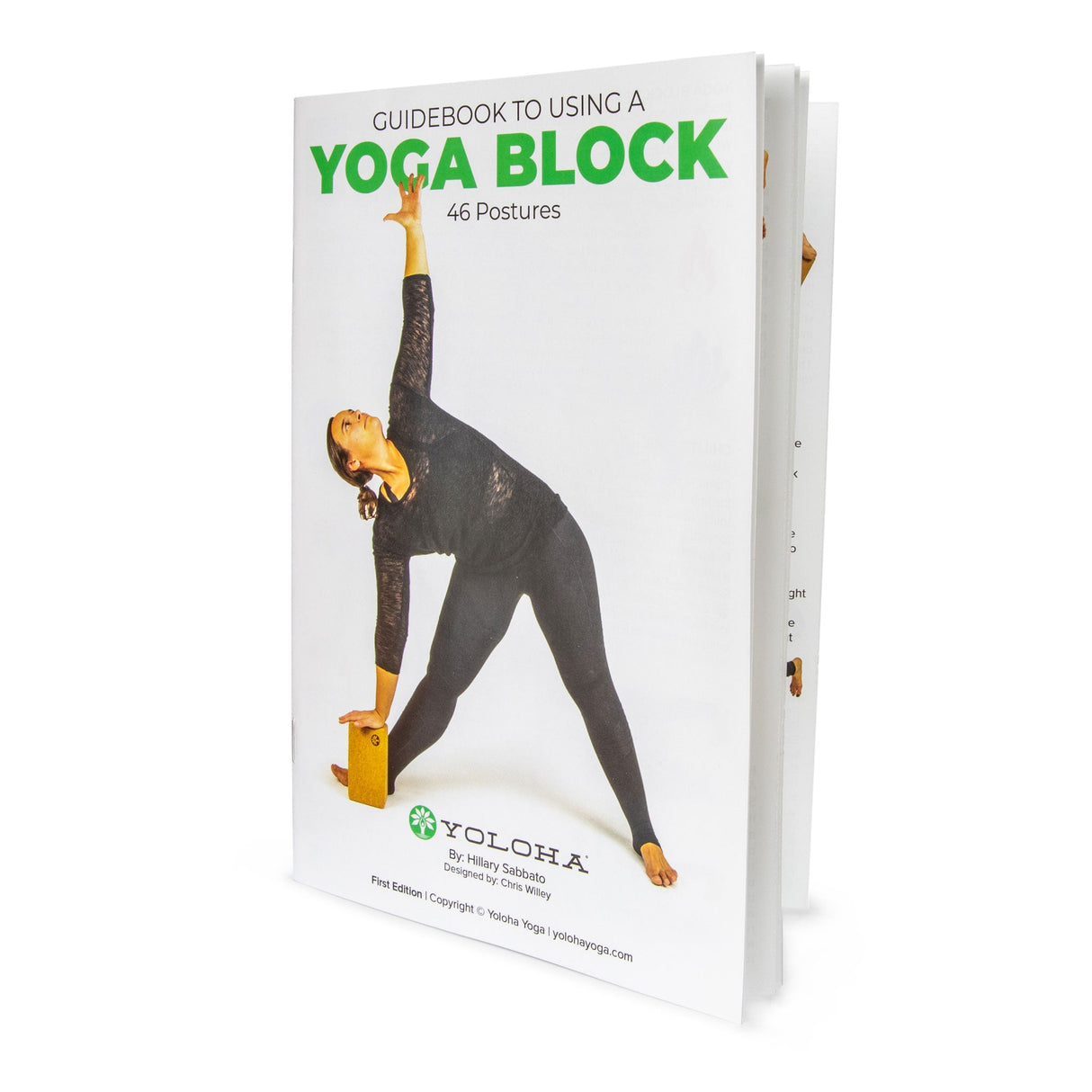 Artist Cork Yoga Block Set from Yoloha Yoga