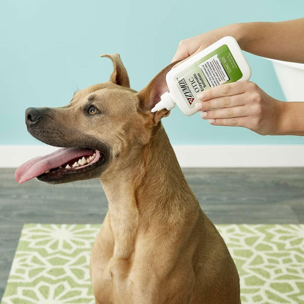 Zymox Otic Ear Treatment without Hydrocortisone from HardyPaw