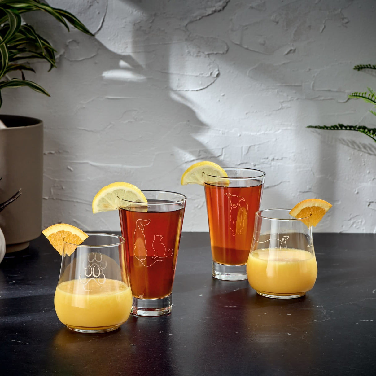 Libbey Modern Pets Woof All-Purpose Glasses, 17-ounce, Set of 4 from Libbey