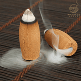 Agarwood Smoke Backflow Incense Cones from incenseocean