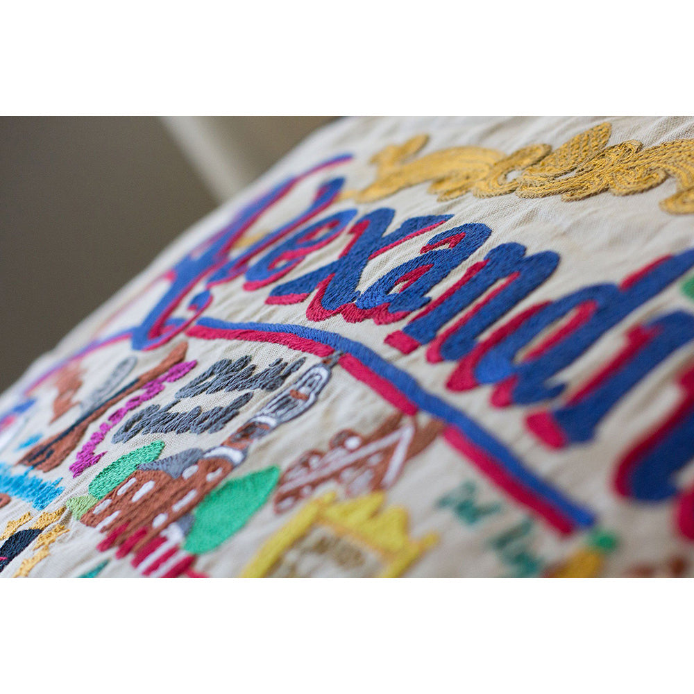 Alexandria Hand-Embroidered Pillow from Quirks!