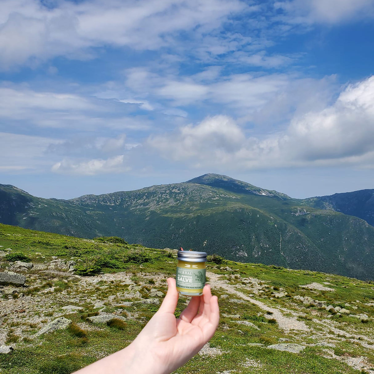 All Purpose Salve, Multipurpose Herbal Salve from Ora's Amazing Herbal