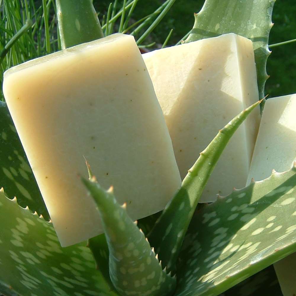 Natural Soap: Fresh Aloe From Chagrin Valley Soap & Salve