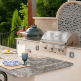 American Outdoor Grill L-Series 30-Inch Built-In Gas Grill with Backburner and Rotisserie From Modern Blaze