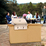 American Outdoor Grill T-Series 24-Inch Built-In Gas Grill From Modern Blaze