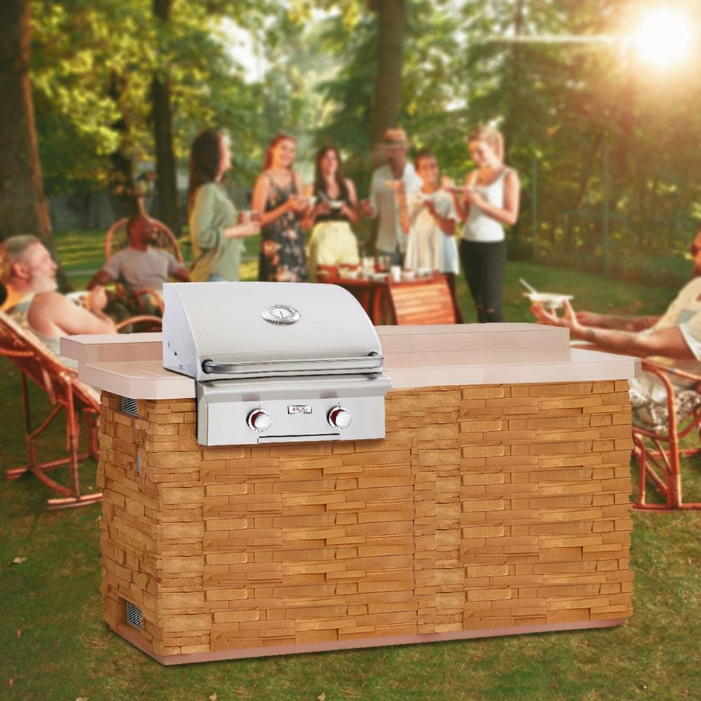 American Outdoor Grill T-Series 24-Inch Built-In Gas Grill From Modern Blaze