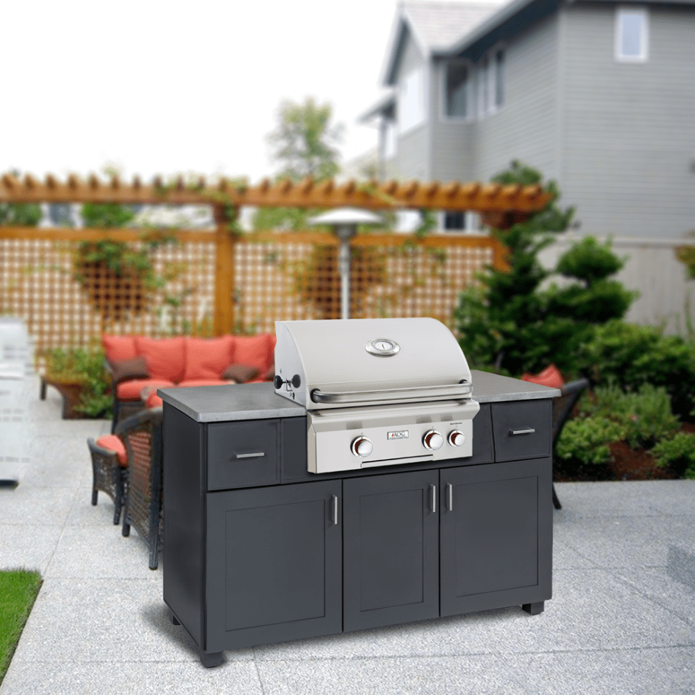 American Outdoor Grill T-Series 30-Inch Built-In Gas Grill From Modern Blaze