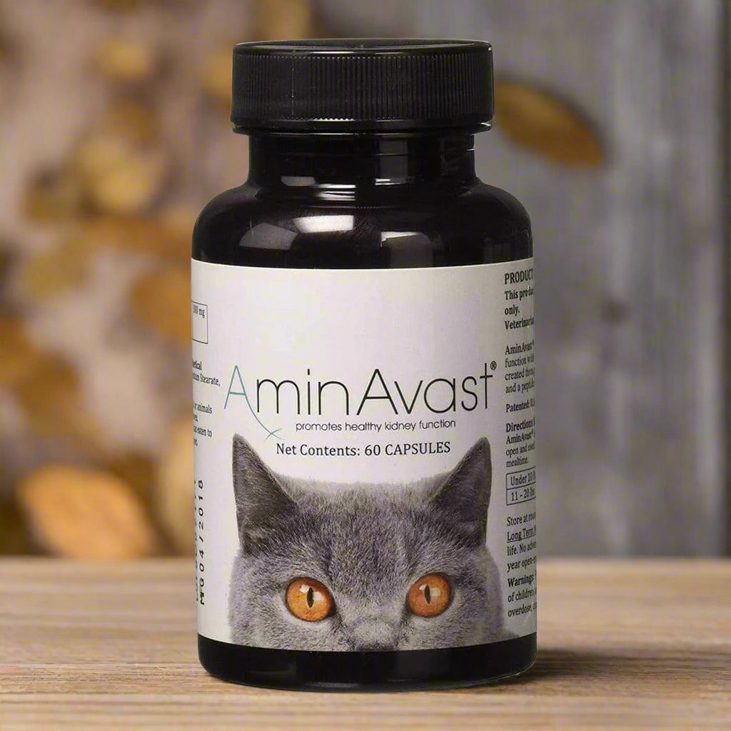 AminAvast Kidney Support for Cats (60 capsules) from HardyPaw