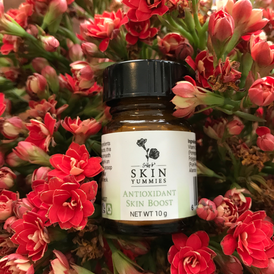 Antioxidant Skin Boost From Skin Yummies