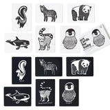 Art Cards for Baby - Black and White Collection From Wee Gallery