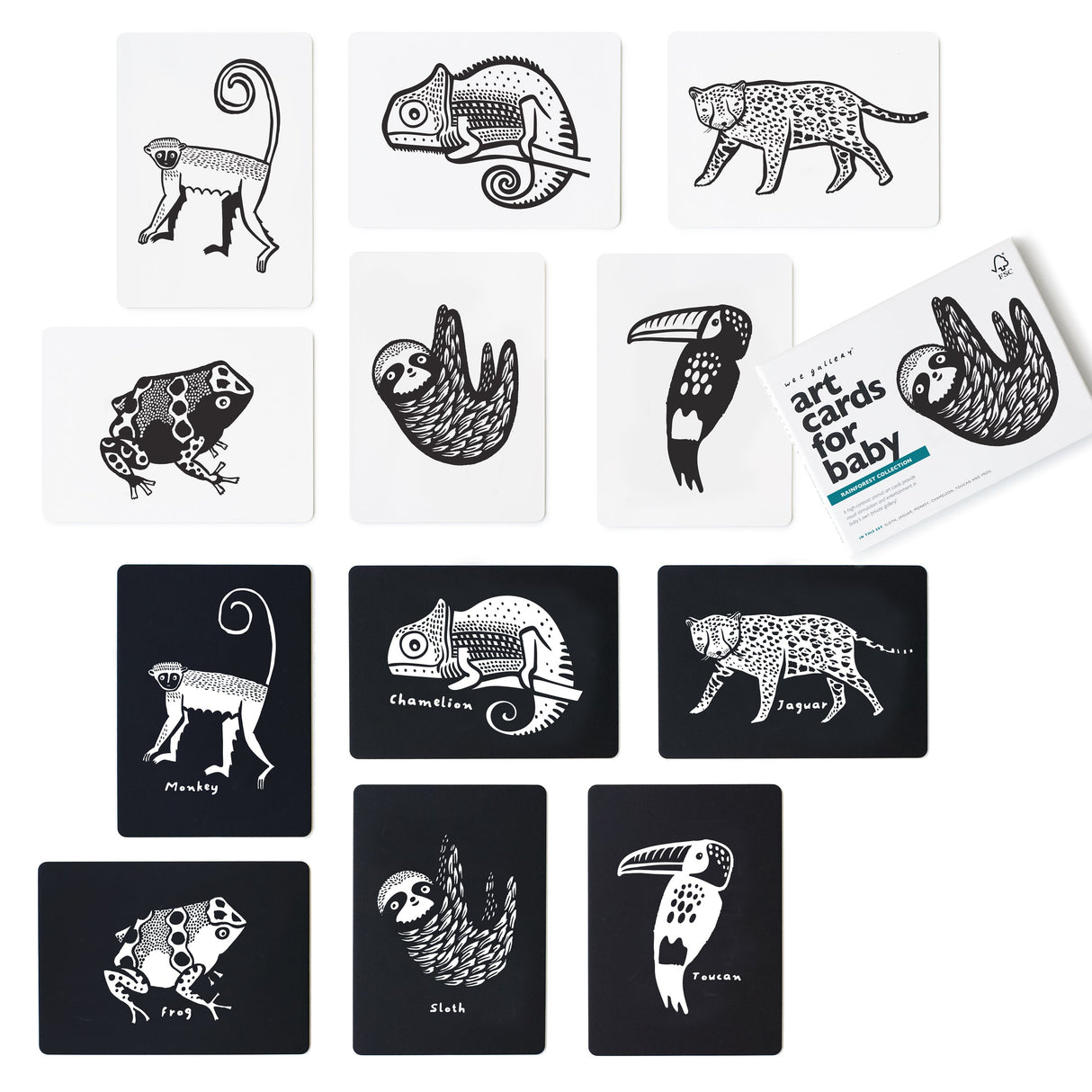 Art Cards for Baby - Rainforest Collection From Wee Gallery