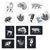 Art Cards for Baby - Rainforest Collection From Wee Gallery