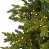 10’ Belgium Fir “Natural Look” Artificial Christmas Tree with 1050 Clear LED Lights from Nearly Natural