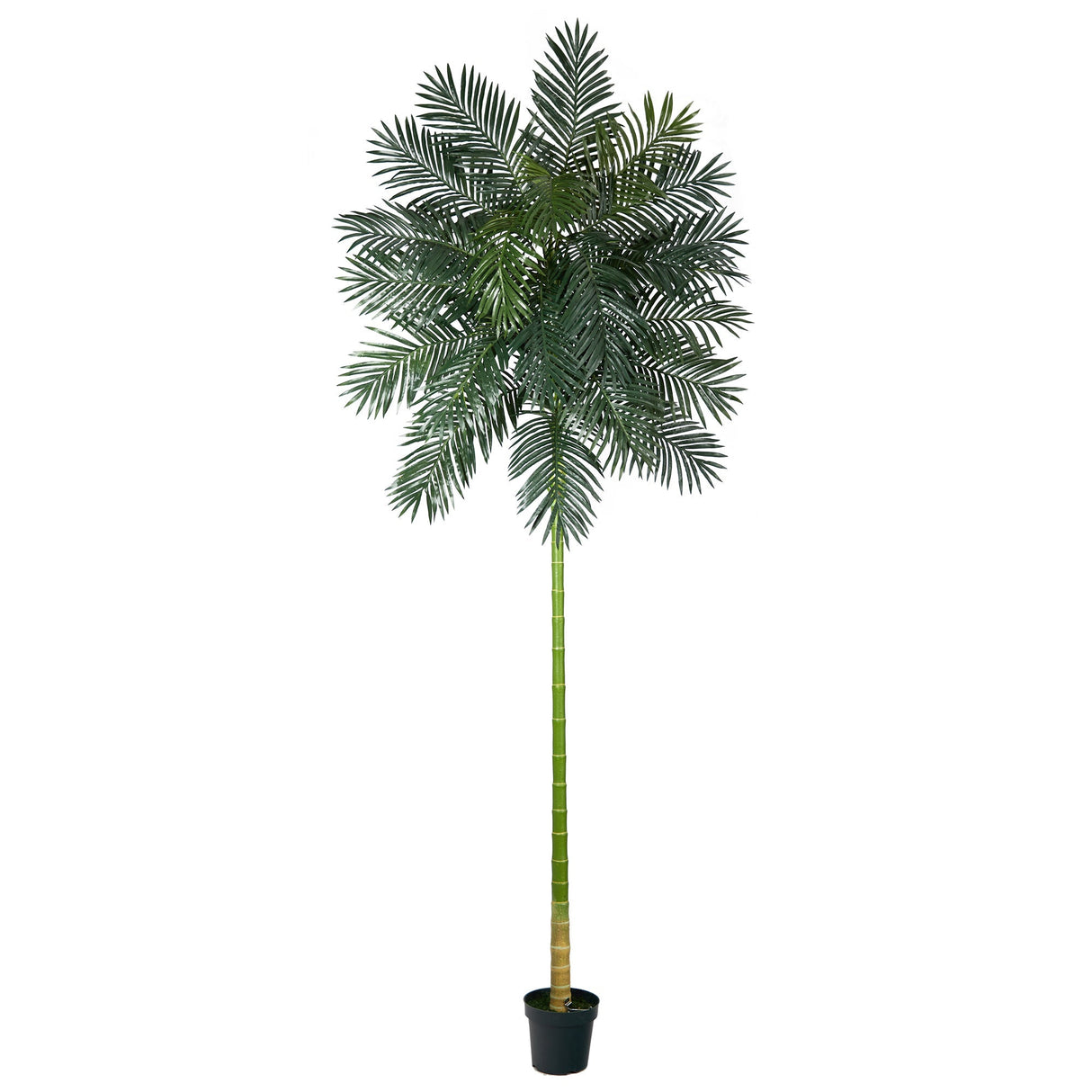 Golden Cane Artificial Palm Tree 10’  from Nearly Natural