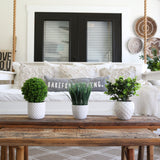 11” Artificial Boxwood Plant with Decorative Planter from Nearly Natural