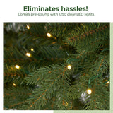 11’ Belgium Fir “Natural Look” Artificial Christmas Tree with 1250 Clear LED Lights and 4222 Bendable Branches from Nearly Natural