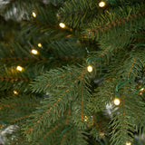 11’ Belgium Fir “Natural Look” Artificial Christmas Tree with 1250 Clear LED Lights and 4222 Bendable Branches from Nearly Natural
