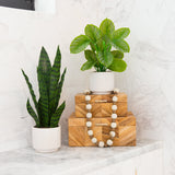 12" Artificial Calathea Plant with Decorative Planter from Nearly Natural