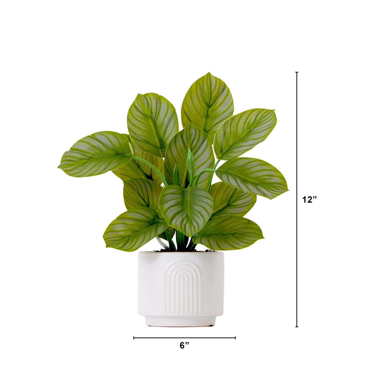 12" Artificial Calathea Plant with Decorative Planter from Nearly Natural