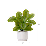 12" Artificial Calathea Plant with Decorative Planter from Nearly Natural