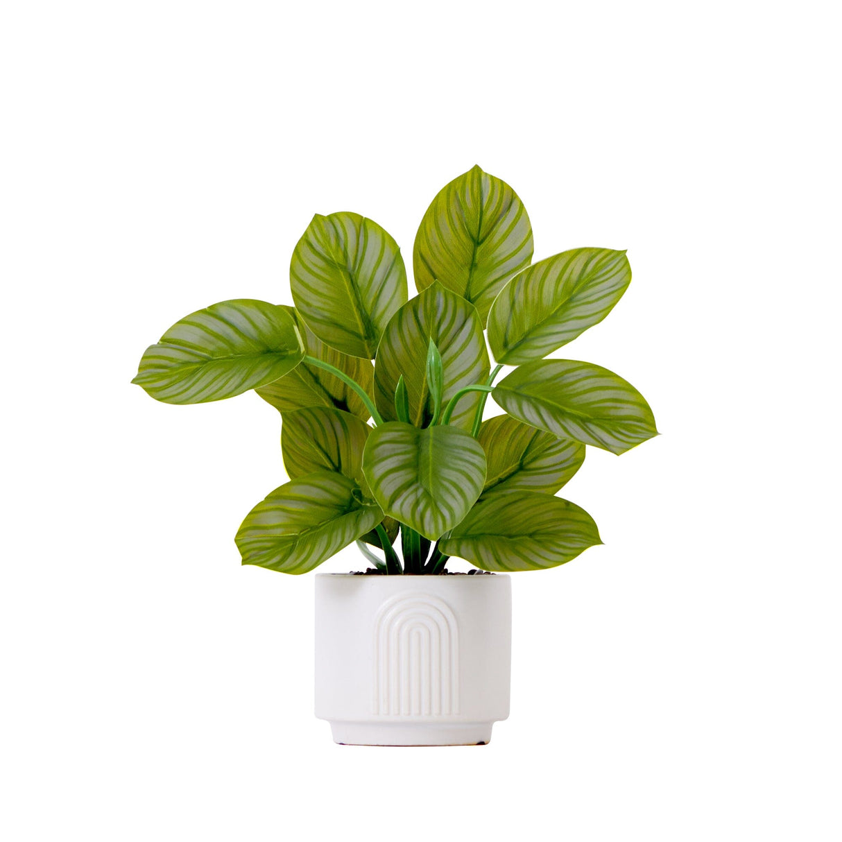 12" Artificial Calathea Plant with Decorative Planter from Nearly Natural