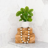 12" Artificial Calathea Plant with Decorative Planter from Nearly Natural