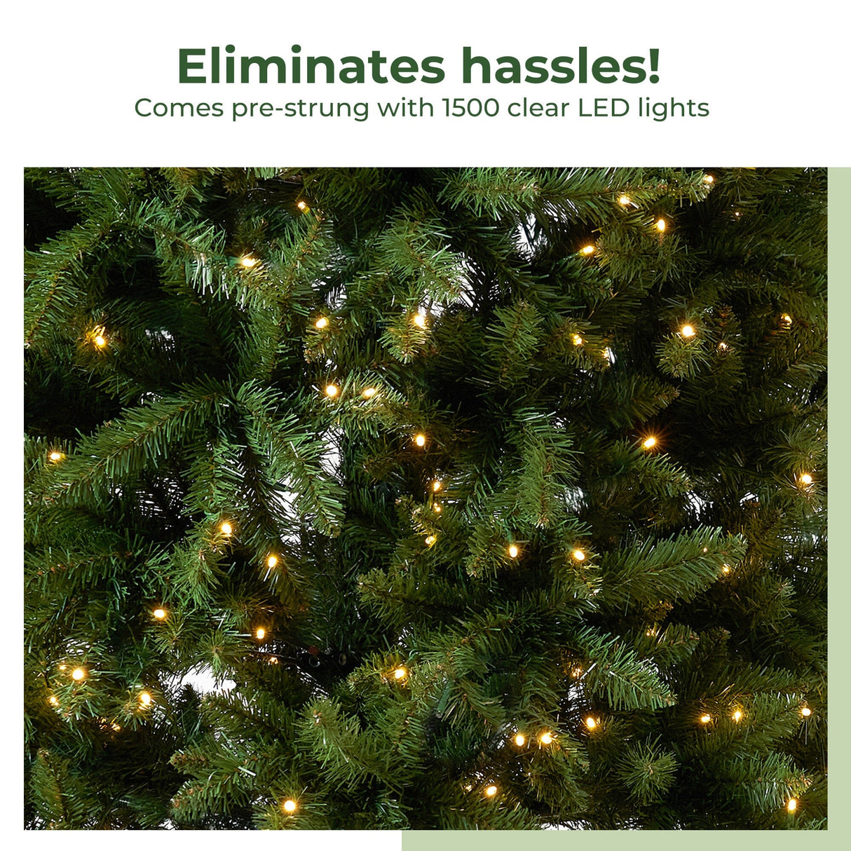 12’ Belgium Fir “Natural Look” Artificial Christmas Tree with 1500 Clear LED Lights and 4962 Bendable Branches from Nearly Natural