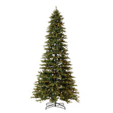 12’ Belgium Fir “Natural Look” Artificial Christmas Tree with 1500 Clear LED Lights and 4962 Bendable Branches from Nearly Natural