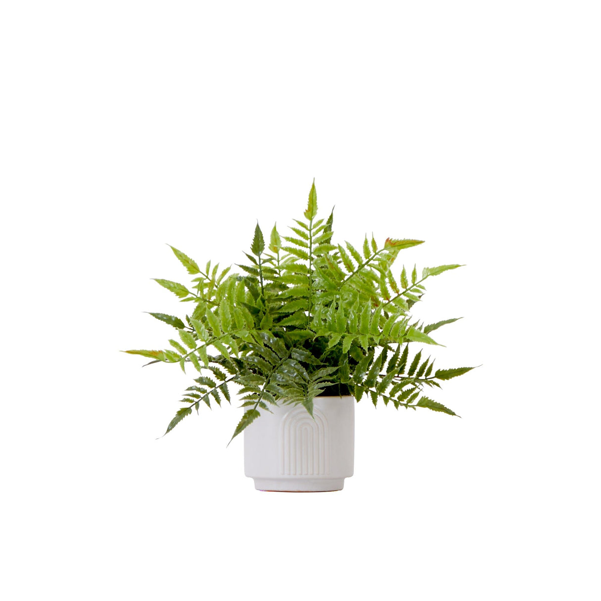 13" Artificial Boston Fern Plant with Decorative Planter from Nearly Natural