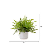 13" Artificial Boston Fern Plant with Decorative Planter from Nearly Natural