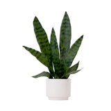 16" Artificial Sansevieria Snake Plant with Decorative Planter from Nearly Natural