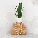 16" Artificial Sansevieria Snake Plant with Decorative Planter from Nearly Natural