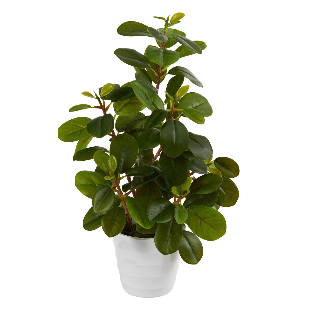 16” Peperomia Artificial Plant in Decorative Planter from Nearly Natural