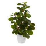 16” Peperomia Artificial Plant in Decorative Planter from Nearly Natural