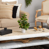16” Peperomia Artificial Plant in Decorative Planter from Nearly Natural