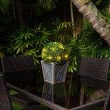 18” UV Resistant Artificial Boxwood Ball Topiary with LED Lights in Decorative Planter (Indoor/Outdoor) from Nearly Natural